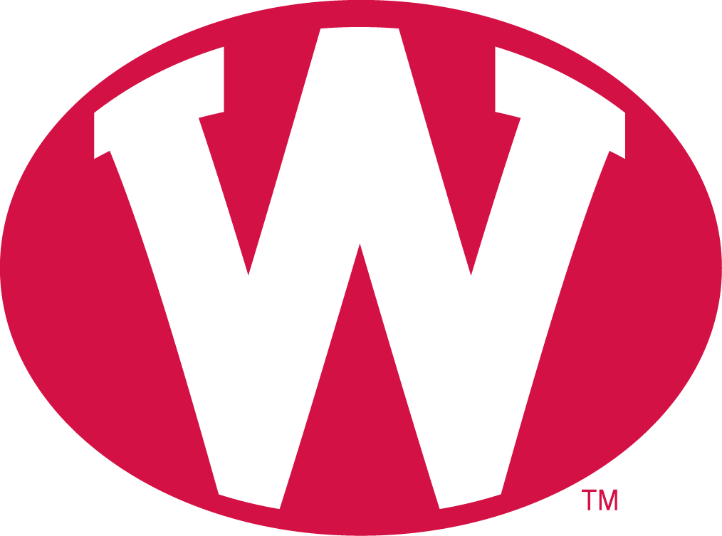 Wisconsin Badgers 1972-1977 Alternate Logo iron on transfers for T-shirts
